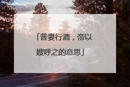 普妻行酒，帝以嫂呼之的意思