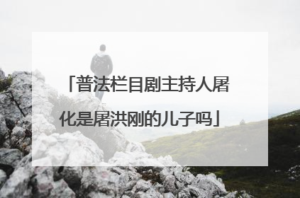 普法栏目剧主持人屠化是屠洪刚的儿子吗