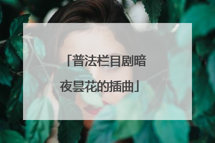 普法栏目剧暗夜昙花的插曲