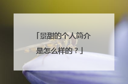 景甜的个人简介是怎么样的？