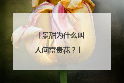 景甜为什么叫人间富贵花？