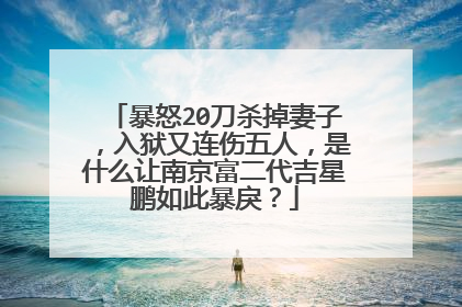 暴怒20刀杀掉妻子，入狱又连伤五人，是什么让南京富二代吉星鹏如此暴戾？