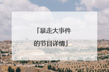 暴走大事件的节目详情