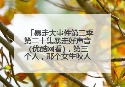 暴走大事件第三季第二十集暴走好声音(优酷网看),第三个人,那个女生咬人猫刚出来时候的背景音乐是什么