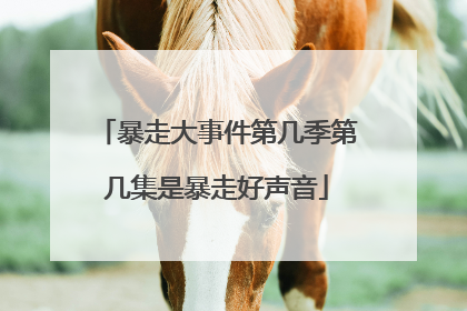 暴走大事件第几季第几集是暴走好声音