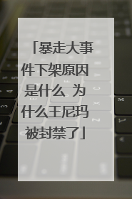 暴走大事件下架原因是什么 为什么王尼玛被封禁了