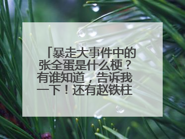 暴走大事件中的张全蛋是什么梗?有谁知道,告诉我一下!还有赵铁柱,和李小花!就是挺搞笑的,求解释!!