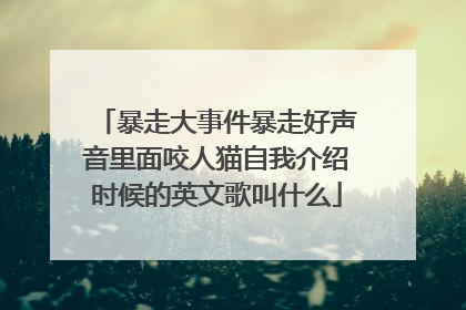暴走大事件暴走好声音里面咬人猫自我介绍时候的英文歌叫什么
