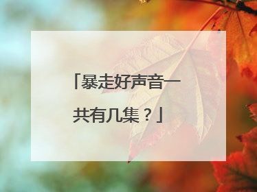 暴走好声音一共有几集?