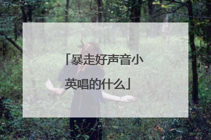 暴走好声音小英唱的什么