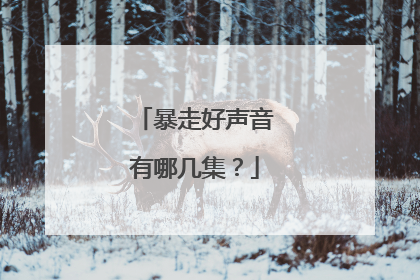 暴走好声音有哪几集?