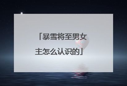 暴雪将至男女主怎么认识的