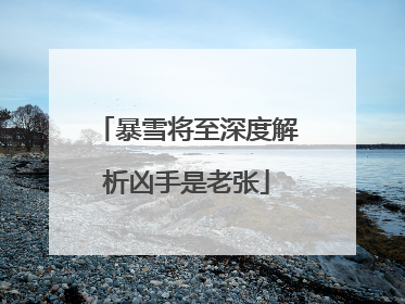 暴雪将至深度解析凶手是老张