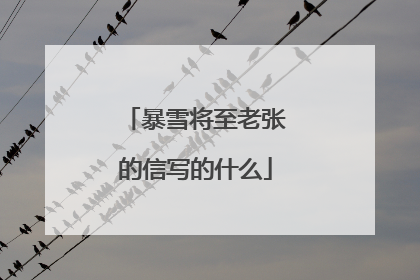 暴雪将至老张的信写的什么