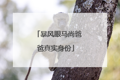 暴风眼马尚爸爸真实身份