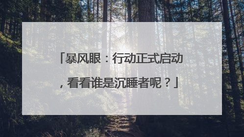 暴风眼:行动正式启动,看看谁是沉睡者呢?