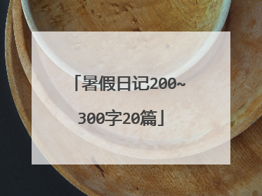 暑假日记200~300字20篇