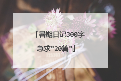 暑期日记300字急求