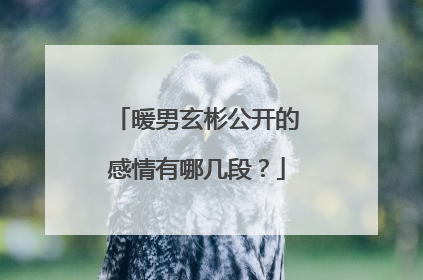 暖男玄彬公开的感情有哪几段?