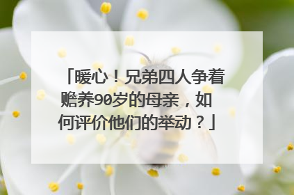 暖心！兄弟四人争着赡养90岁的母亲，如何评价他们的举动？