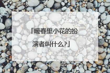 暖春里小花的扮演者叫什么?