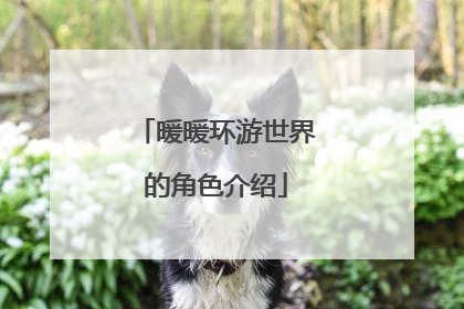 暖暖环游世界的角色介绍