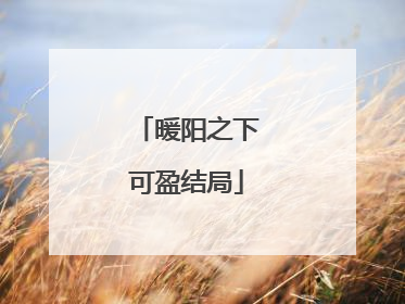 暖阳之下可盈结局