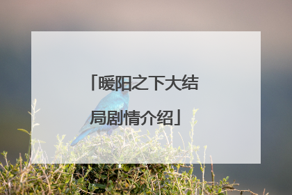 暖阳之下大结局剧情介绍