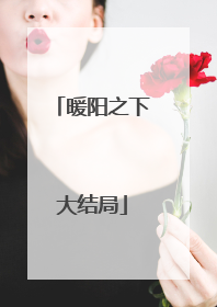 暖阳之下大结局