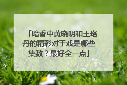 暗香中黄晓明和王珞丹的精彩对手戏是哪些集数？最好全一点