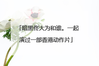 暗黑佟大为和谁。一起演过一部香港动作片