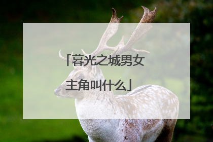 暮光之城男女主角叫什么