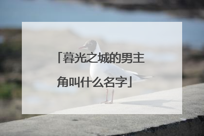 暮光之城的男主角叫什么名字