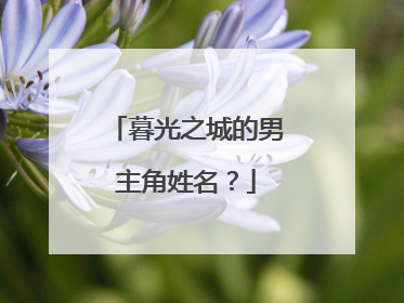 暮光之城的男主角姓名？