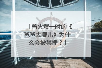 曾火爆一时的《爸爸去哪儿》为什么会被禁播？