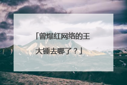 曾爆红网络的王大锤去哪了?