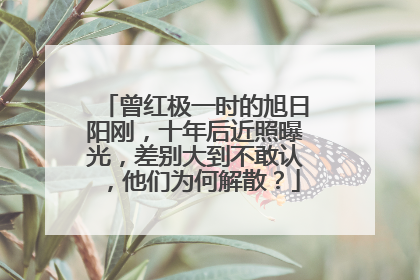 曾红极一时的旭日阳刚，十年后近照曝光，差别大到不敢认，他们为何解散？