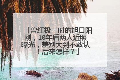 曾红极一时的旭日阳刚，10年后两人近照曝光，差别大到不敢认！后来怎样？