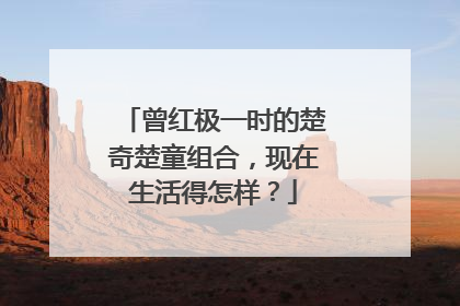 曾红极一时的楚奇楚童组合,现在生活得怎样?