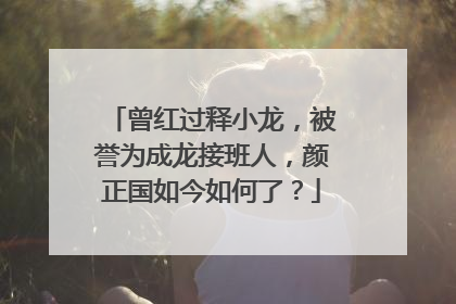 曾红过释小龙,被誉为成龙接班人,颜正国如今如何了?