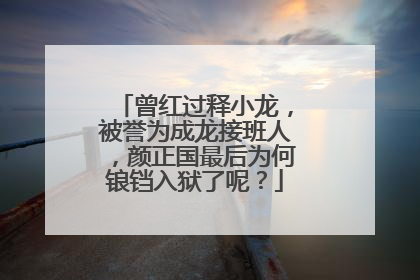 曾红过释小龙,被誉为成龙接班人,颜正国最后为何锒铛入狱了呢?