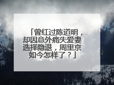 曾红过陈道明,却因意外痛失爱妻选择隐退,周里京如今怎样了?