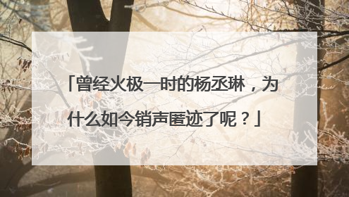 曾经火极一时的杨丞琳，为什么如今销声匿迹了呢？