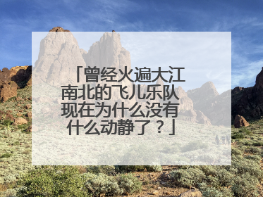 曾经火遍大江南北的飞儿乐队现在为什么没有什么动静了?