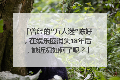 曾经的“万人迷”陈好，在娱乐圈消失18年后，她近况如何了呢？