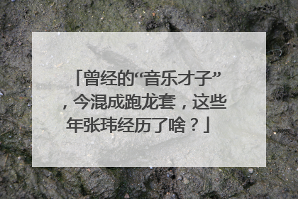 曾经的“音乐才子”，今混成跑龙套，这些年张玮经历了啥？