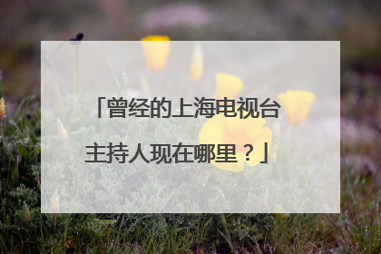 曾经的上海电视台主持人现在哪里?