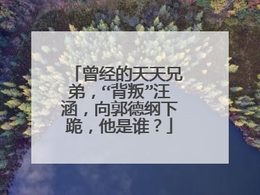 曾经的天天兄弟,“背叛”汪涵,向郭德纲下跪,他是谁?