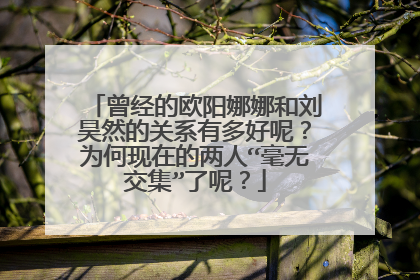 曾经的欧阳娜娜和刘昊然的关系有多好呢？为何现在的两人“毫无交集”了呢？