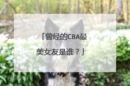曾经的CBA最美女友是谁？